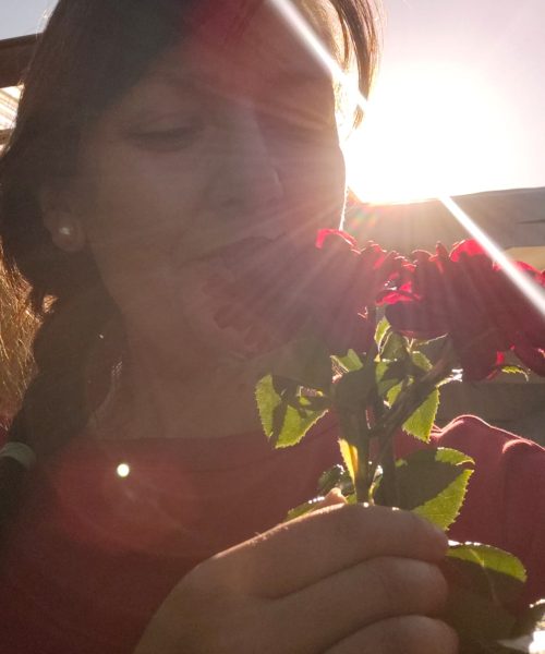 Astrid Marion Rosenbild und Sonnenuntergang